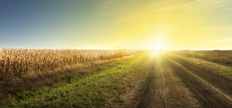 Rural America